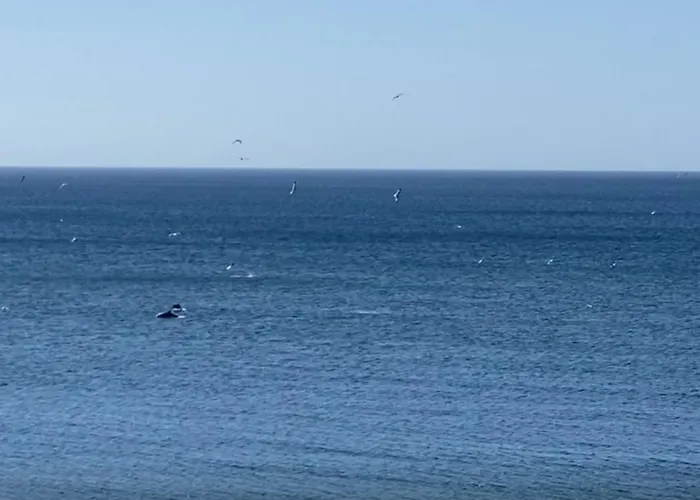 Casa De Playa Estepona